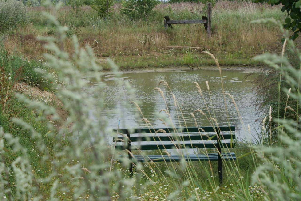 Splietsdorf Ferienhaus Raabe מראה חיצוני תמונה