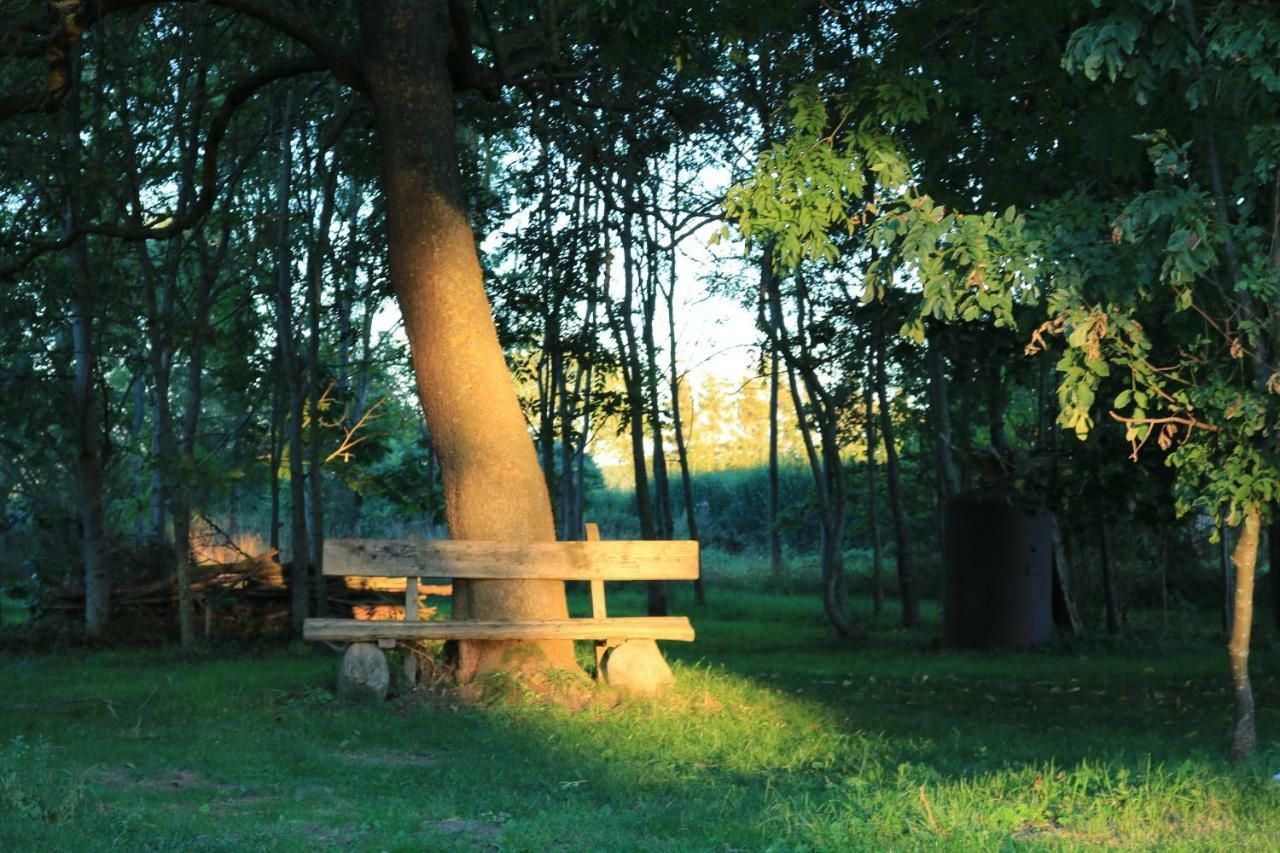 Splietsdorf Ferienhaus Raabe מראה חיצוני תמונה
